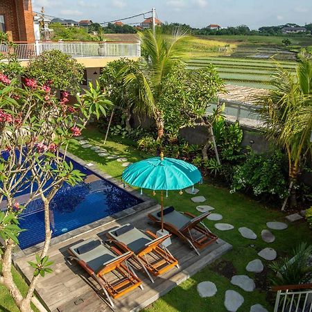 Frangipani House And Spa By Ecommerceloka 캉구 외부 사진