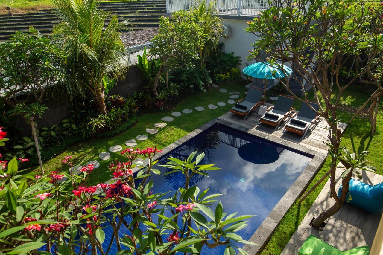Frangipani House And Spa By Ecommerceloka 캉구 외부 사진