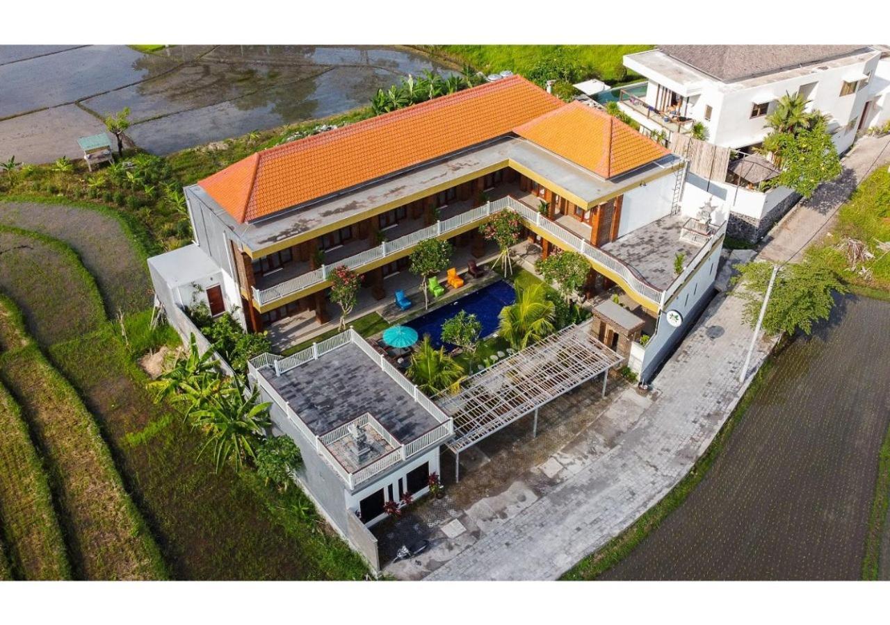 Frangipani House And Spa By Ecommerceloka 캉구 외부 사진