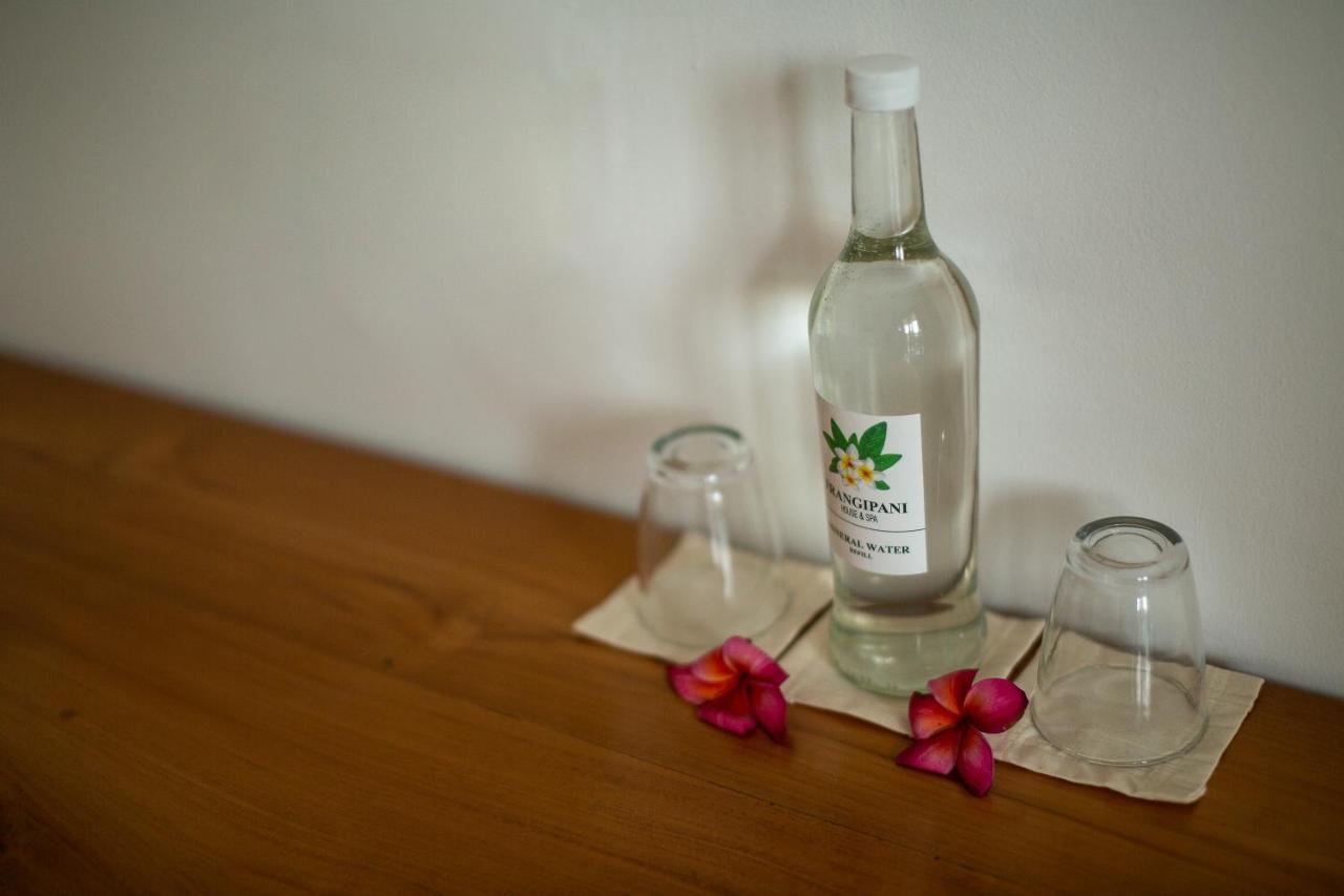 Frangipani House And Spa By Ecommerceloka 캉구 외부 사진